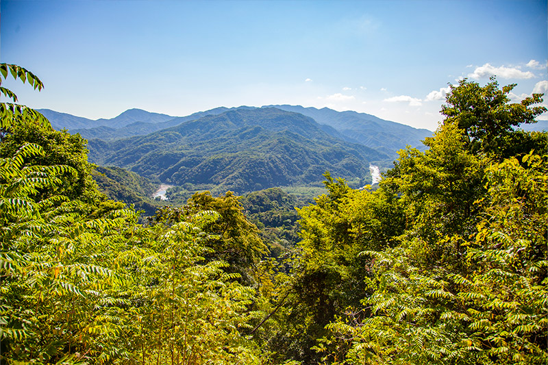 Coffee Farms & Waterfalls