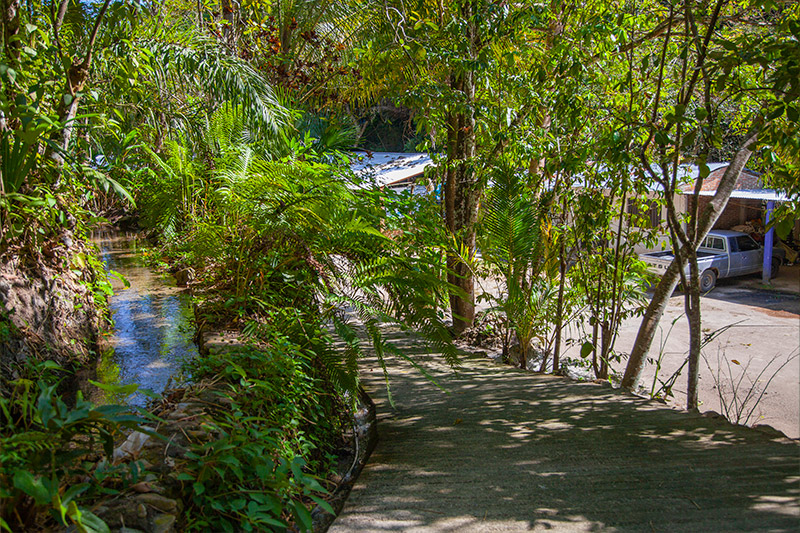 Coffee Farms & Waterfalls