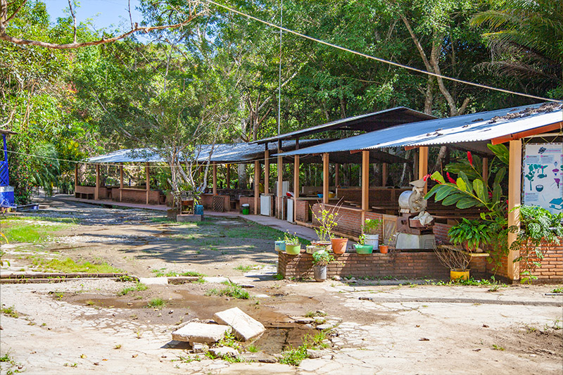Coffee Farms & Waterfalls