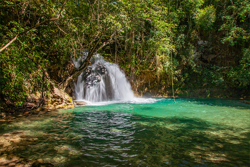 Coffee Farms & Waterfalls