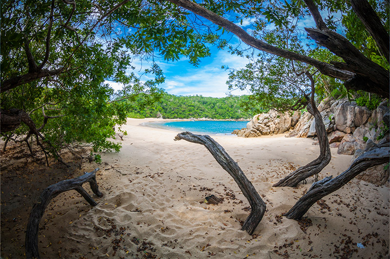 Coast and vegetation in Huatulco