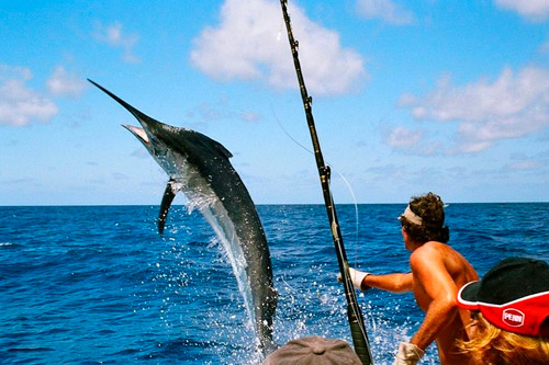 Pesca Deportiva