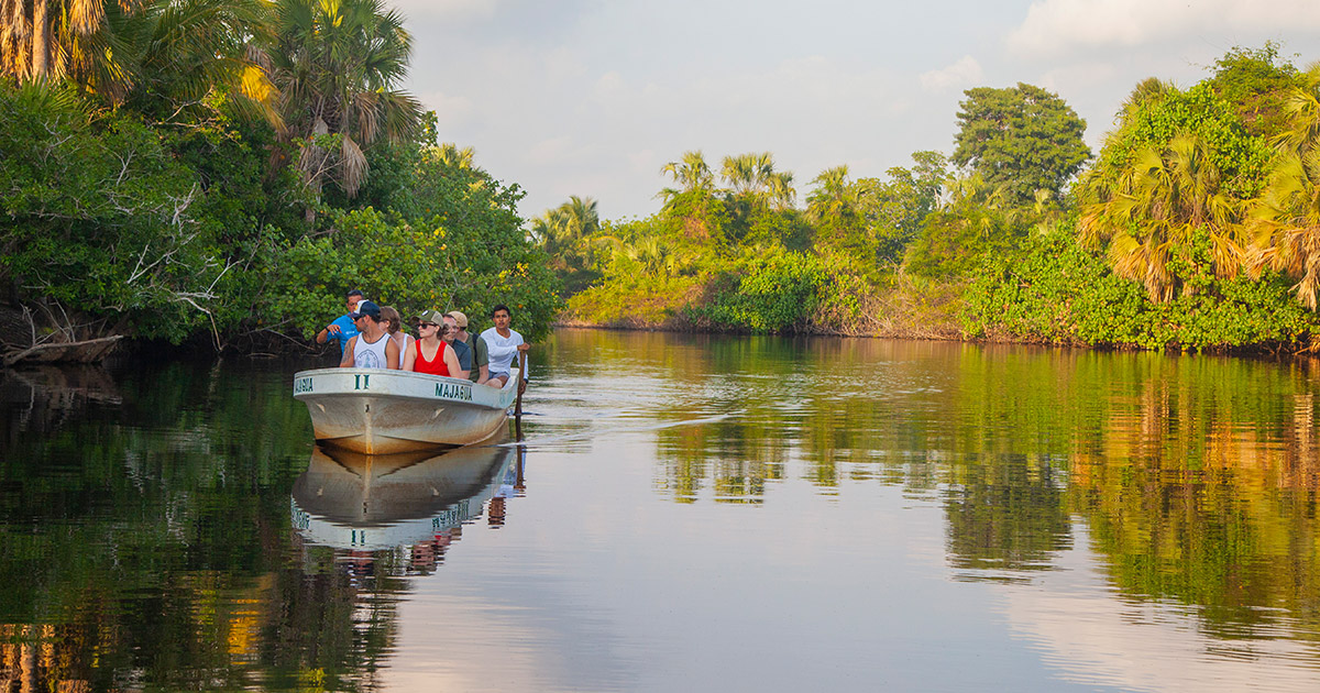 Mangroves at La Ventanilla