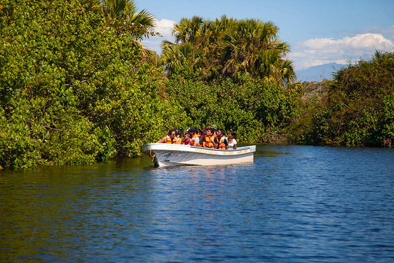 Mangrove boat at La Ventanilla